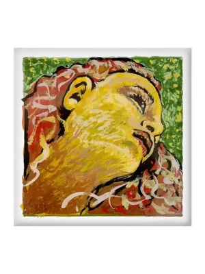 Pirastro EVAH PIRAZZI NEO (G) violin 41B421 Omezená Nabídka