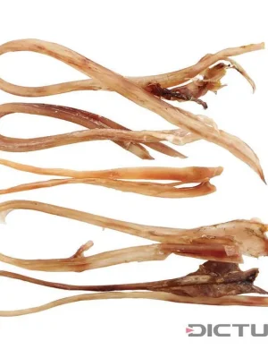 Zlevněný Dictum 831247 - Ostrich Sinews, 5-Piece Set