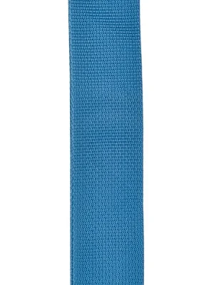 Ověřený D'Addario Planet Lock Guitar Strap, Polypropylene, Blue