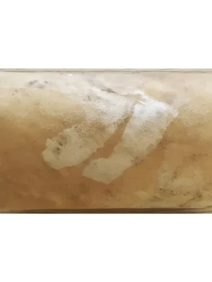 Doprava Zdarma MEINL Percussion - HEAD FOR DJEMBEFOLAHEAD-115