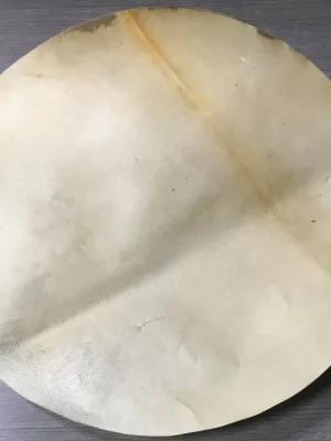 Výprodej TAMA - HEAD 12" FOR DJW3/DJF3TS-F-04