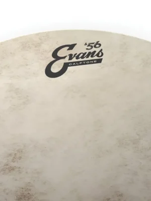 Evans Calftone Tom Batter, 8 Inch Horká Nabídka