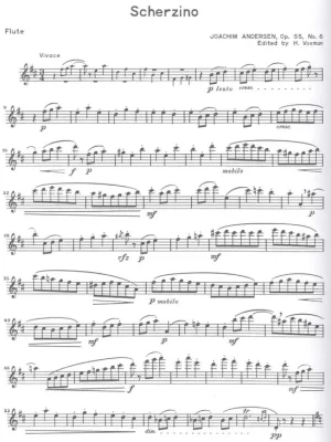 Jen Po Omezenou Doba CONCERT & CONTEST COLLECTIONS + Audio Online / příčná flétna a klavír (PDF)