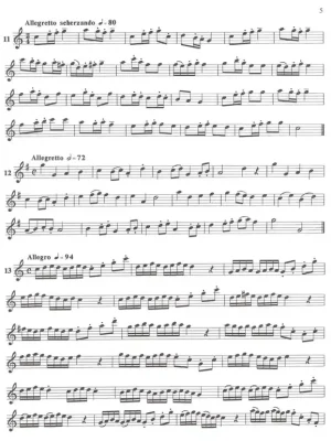 25 ETUDES - ALTBLOKFLUIT / 25 etud pro altovou zobcovou flétnu Časově Omezené