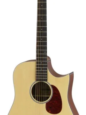 Hit Sezóny Aria-111CE MTN