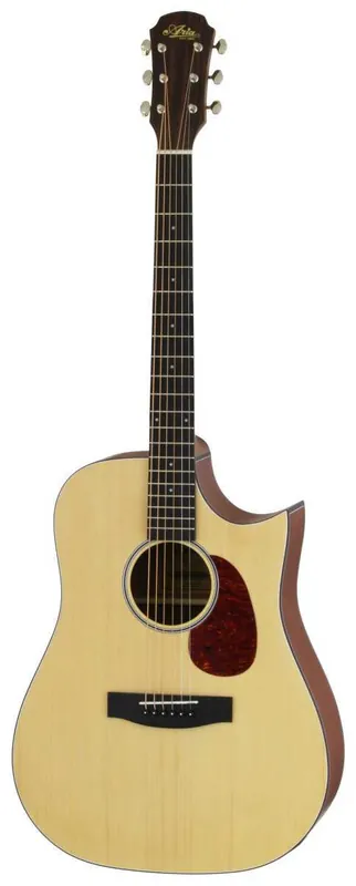 Hit Sezóny Aria-111CE MTN