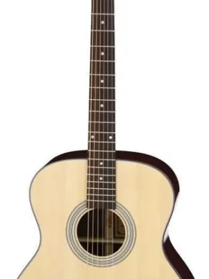 205N - akustická kytara Expresní Doručení