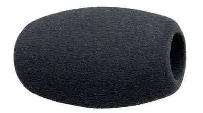 Ihned K Objednání SENNHEISER MZW 1