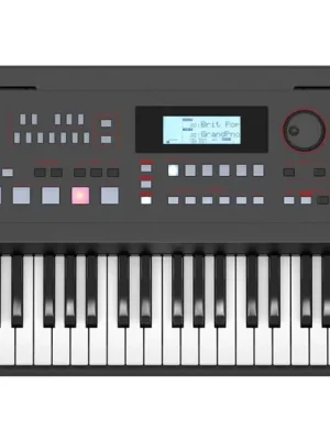 Přímo Od Výrobce Roland E-X50