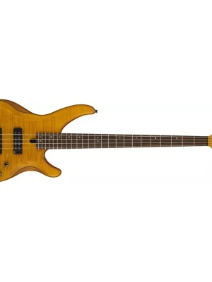 Yamaha TRBX 604 FM MAM - prodloužená záruka 3 roky Nejlepší Volba