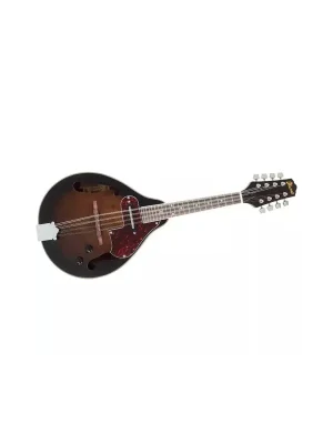 Ibanez M510E-DVS Horká Nabídka