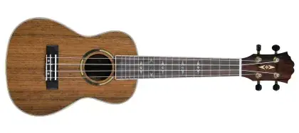 Aktuální Ukulele sopránové FZone FZU-52S Hickory
