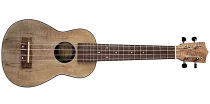 Ihned K Objednání Ukulele koncertní FZone FZU-A07C Touch Wood
