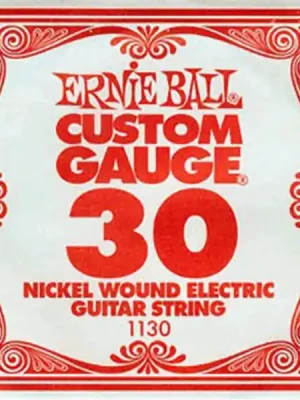 Expresní Doručení ERNIE BALL 1130