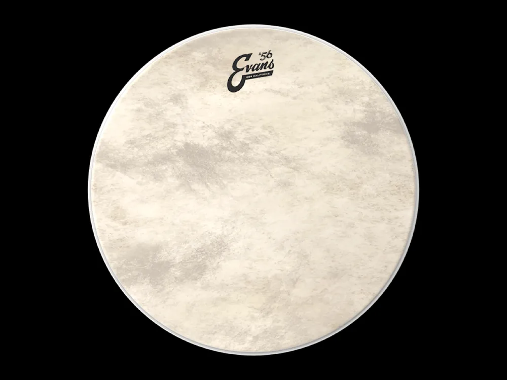 Zlevněný EVANS EQ4 CALFTONE 56 18"