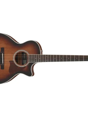 Vysoce Kvalitní IBANEZ Acoustic Guitar AE240JR-MHS