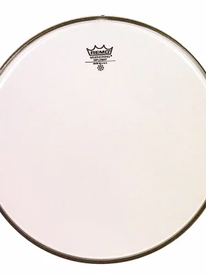Remo BD-0312-00 Diplomat, 12" Finální Výprodej