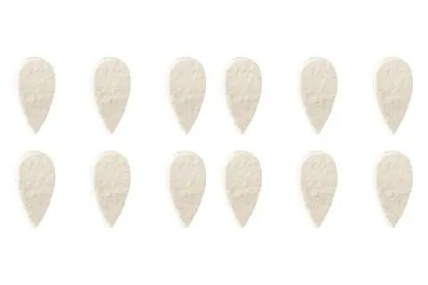 Autentický Trsátko Filc